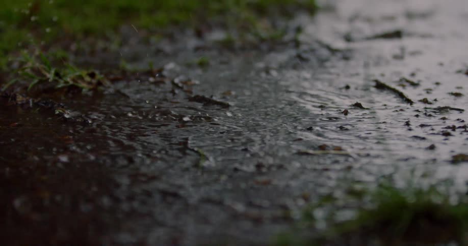 The rain is pouring creating puddles in the grass
