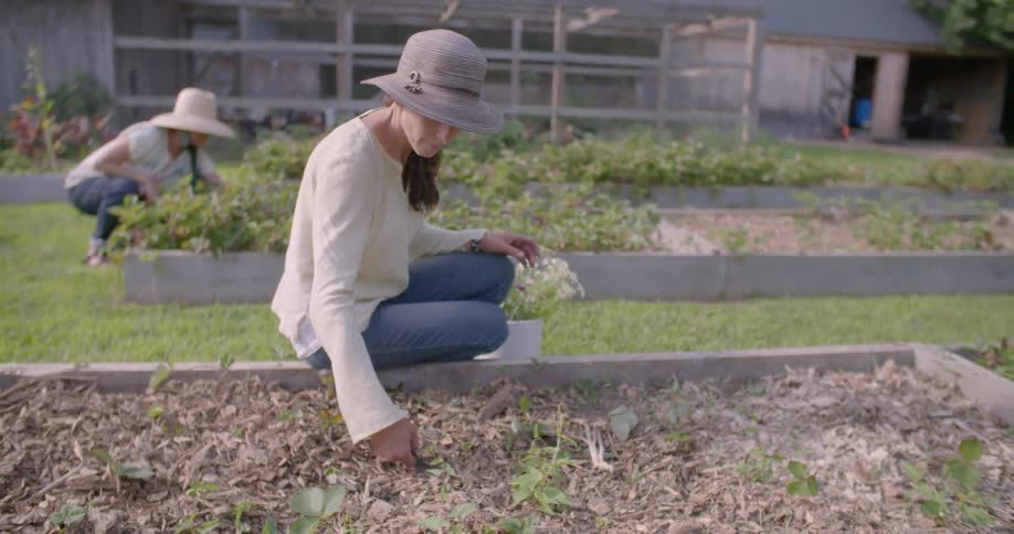Two women gardening