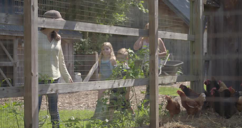 Women and children look at roosters in a pen