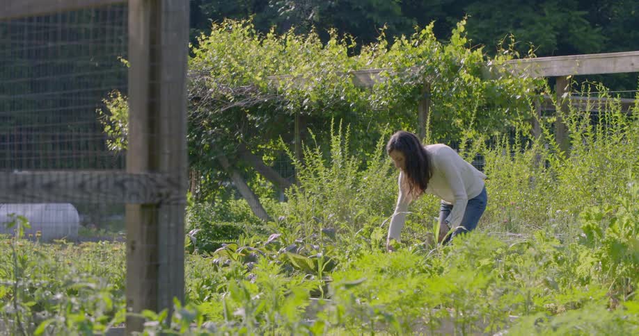 A woman is walking through her garden and pruning weeds