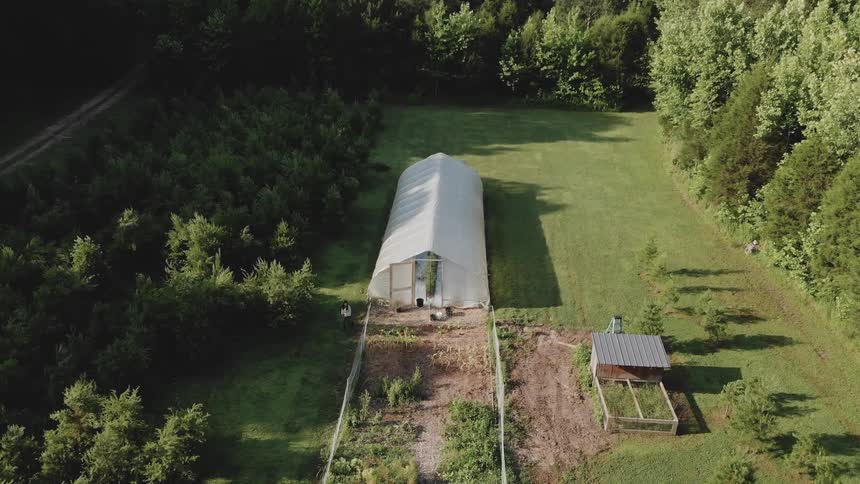 Woman walks on a farm