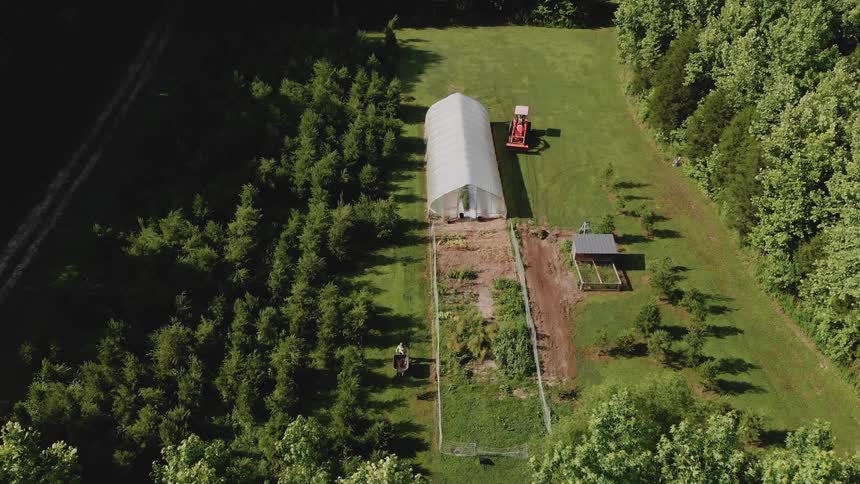 Tractor travels on the grass near a forest