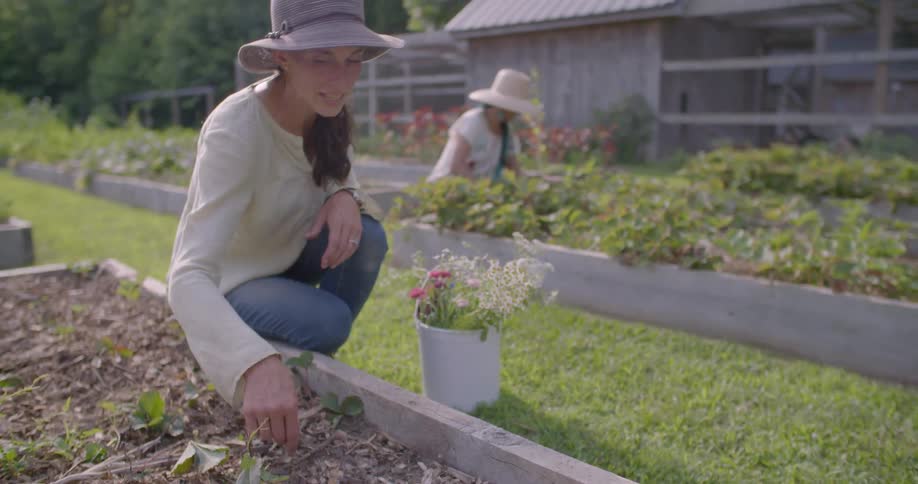 Two woman are removing debris from their gardens
