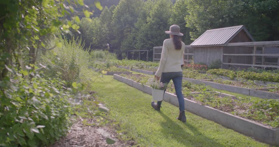 Women work on a rural garden