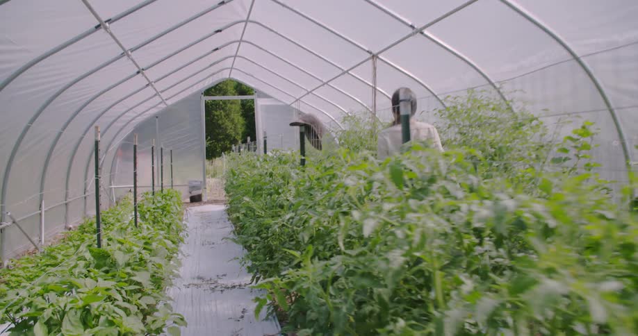 Woman walks through a greenhouse