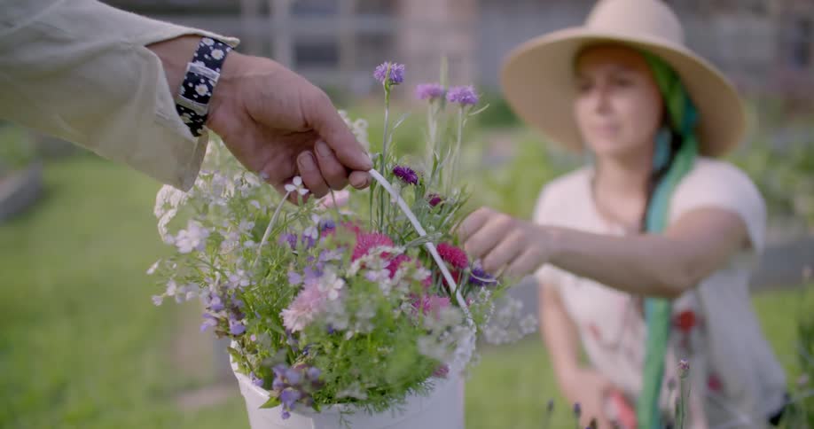 Woman places flower in a white bucket