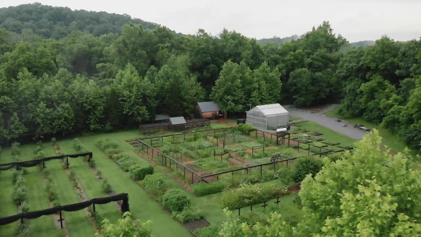 A large garden is lush and green