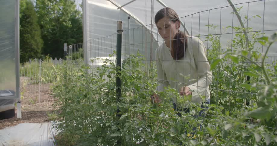 A woman tends to plants in a greenhouse