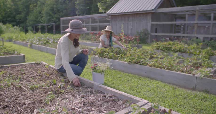 Two women working in a garden