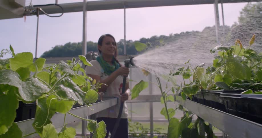 A woman is spraying down her plants inside a greenhouse