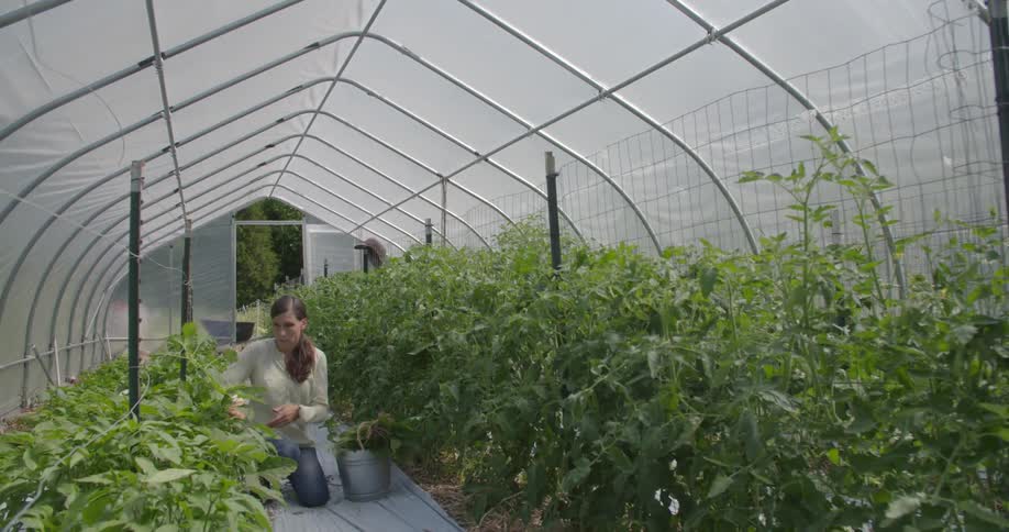 A woman is walking through her garden pulling weeds out