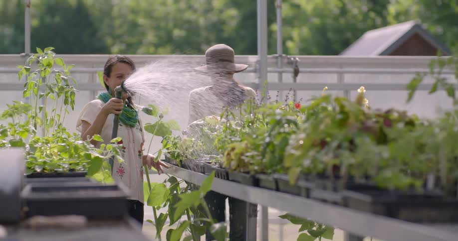 Women water plants on a farm