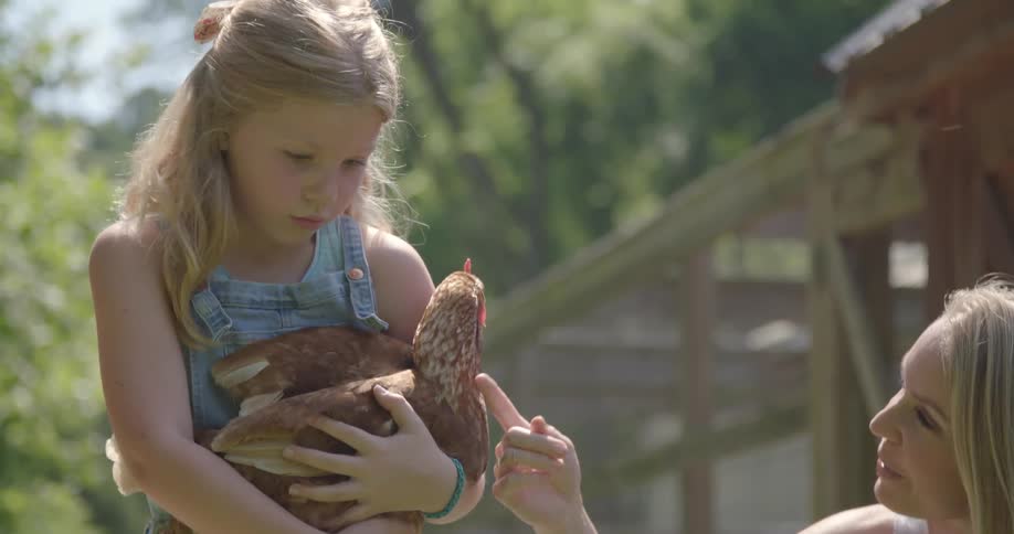 A young girl holds a chicken on a farm