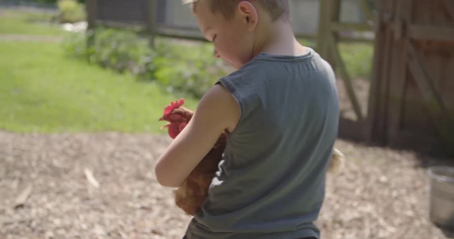 A little boy is holding a chicken