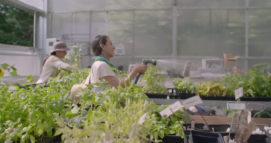A woman is watering the plants with a hose