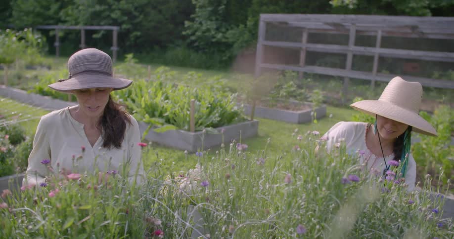 Two women are working together and smiling in a garden