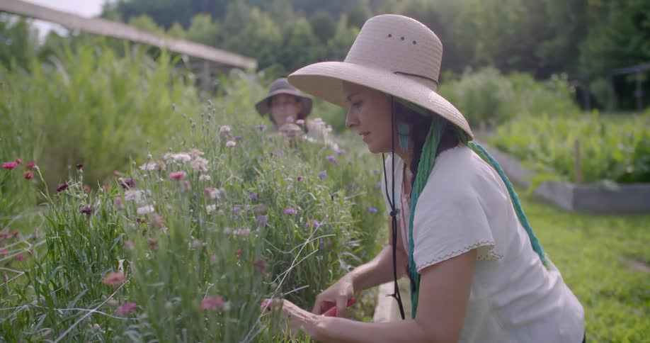Two women are working in a garden together on a sunny day