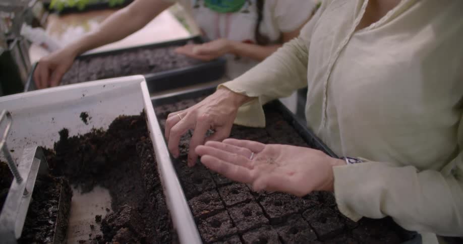 Two women are putting seeds into their soil planters