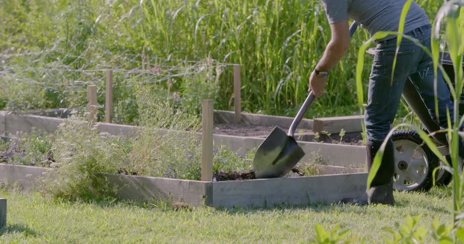A man is working in a garden using a shovel