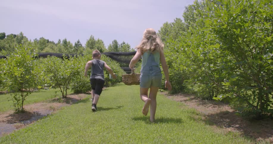 Kids are running between a grove of trees carrying baskets