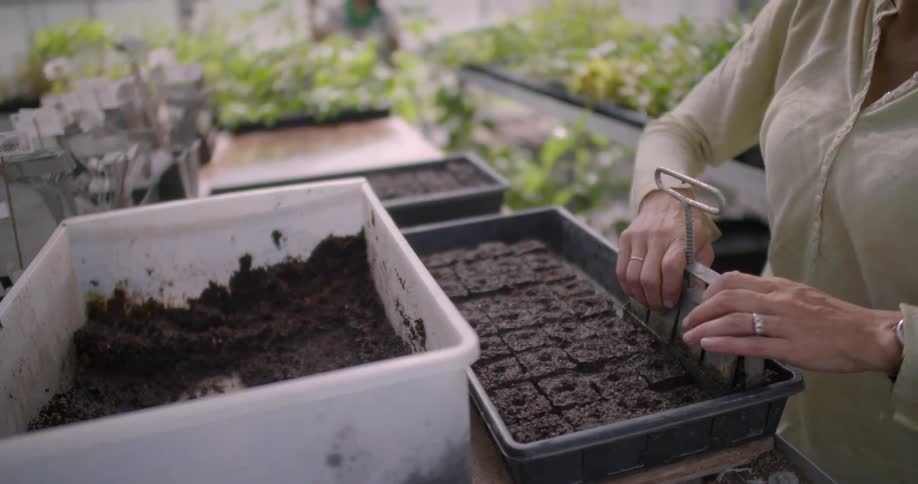 A woman is gathering soil for her plants inside a greenhouse