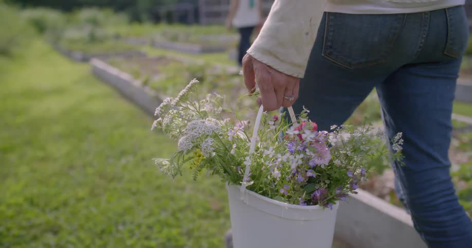 A woman is carrying a basket of flowers through the farm