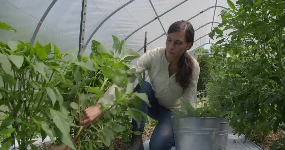 A woman is working in her garden planting things in a bucket