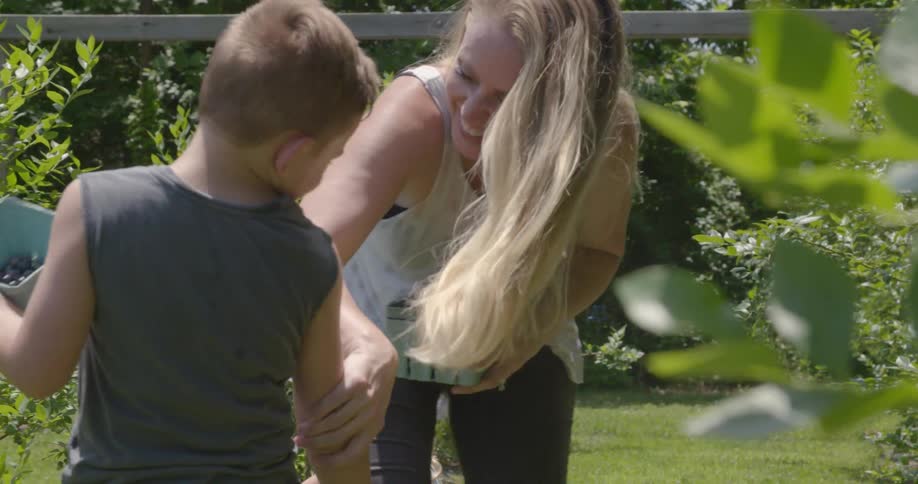 A mom and her young boy are picking grapes