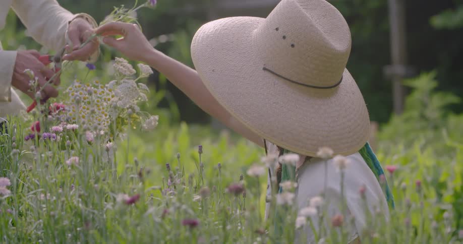 Two women are tending to their garden