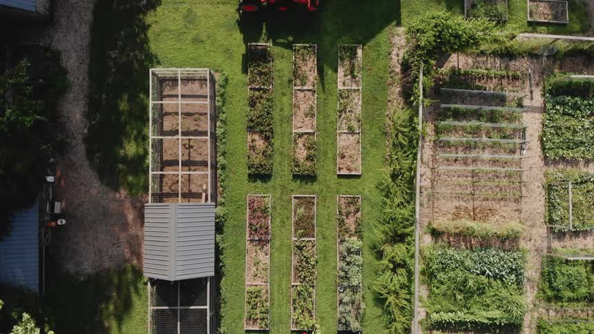 Garden with a red tractor next to it