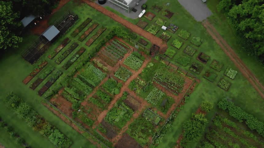 Garden rows and a greenhouse