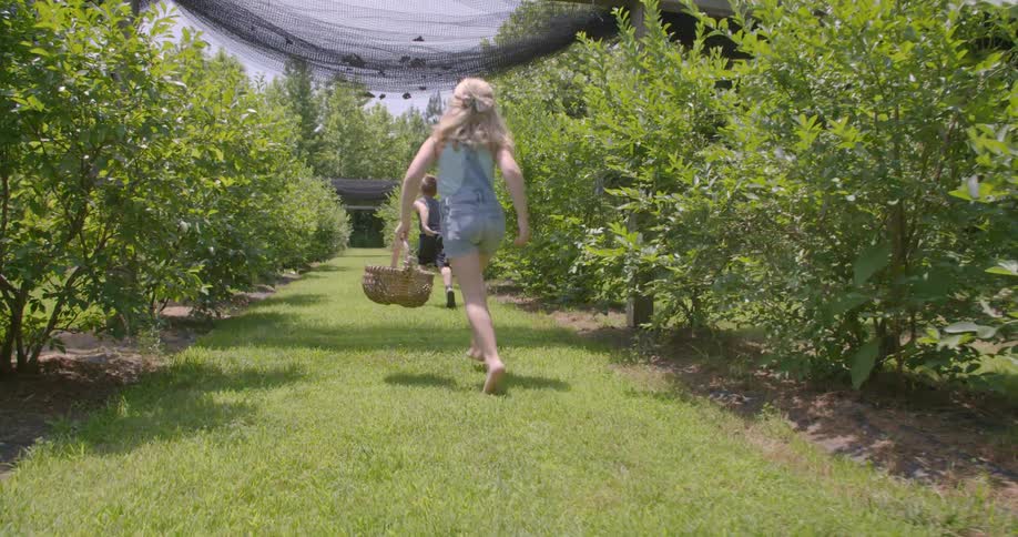 A couple of young children are running through a grove of trees carrying baskets