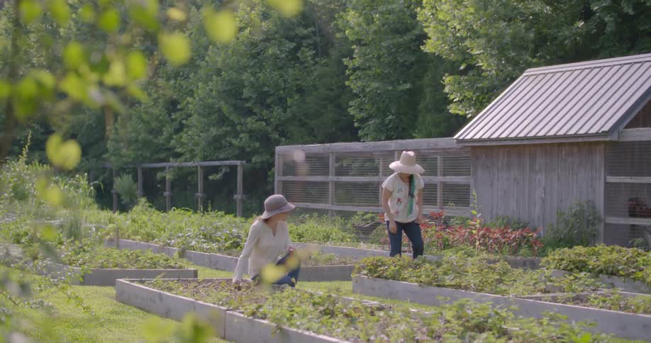 Two women are gardening during the day