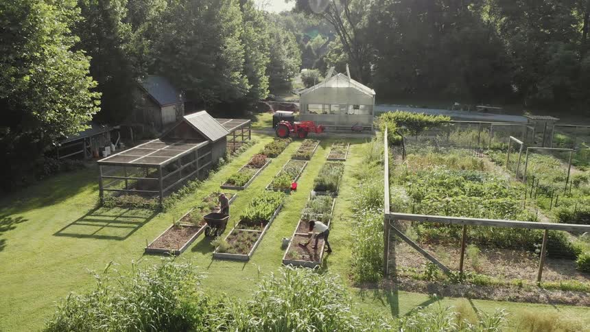 People are attending to a garden