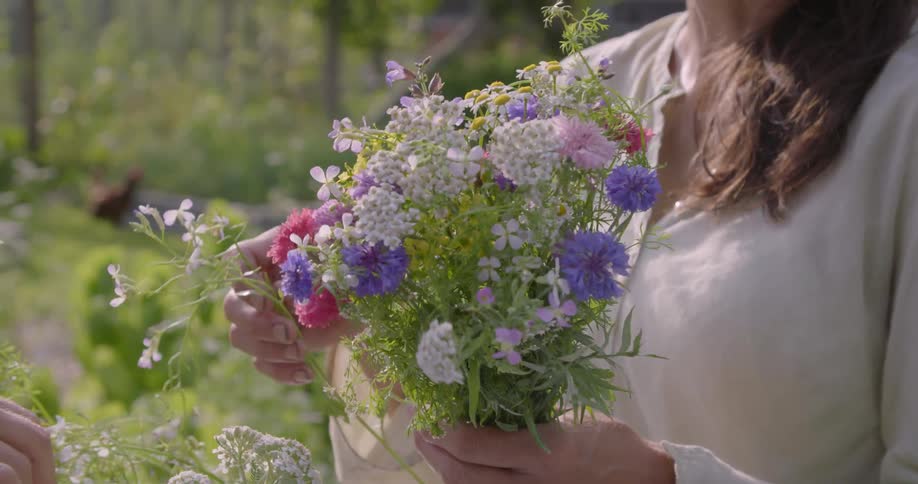 Woman picks a bouquet of flowers