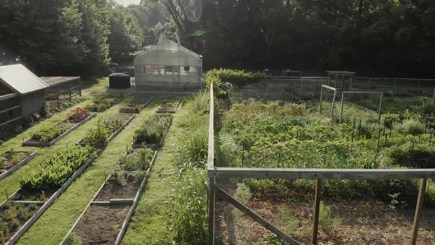 Large garden and a small greenhouse