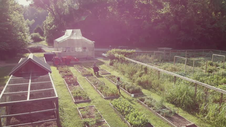 Two women are tending to a large garden