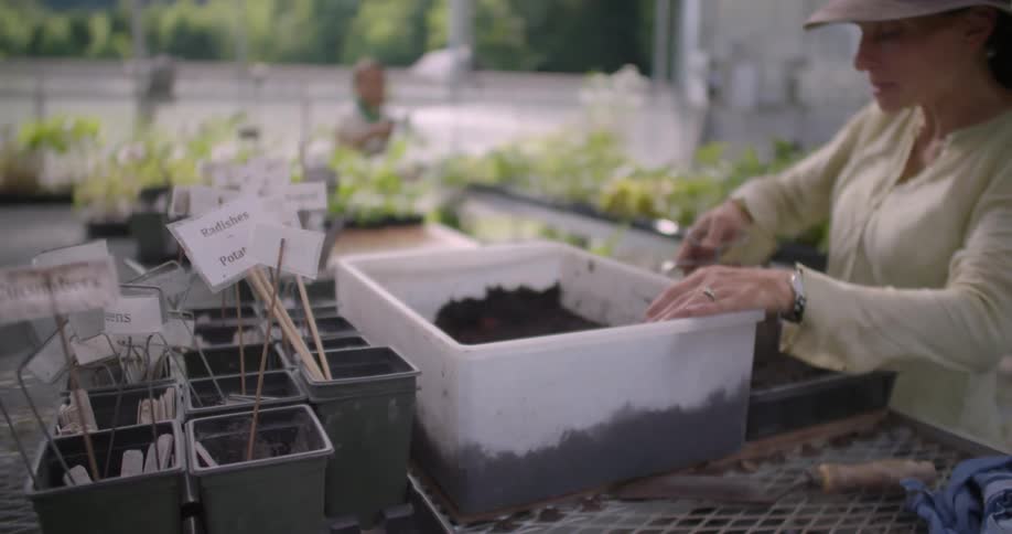 People are watering and planting seeds in a garden