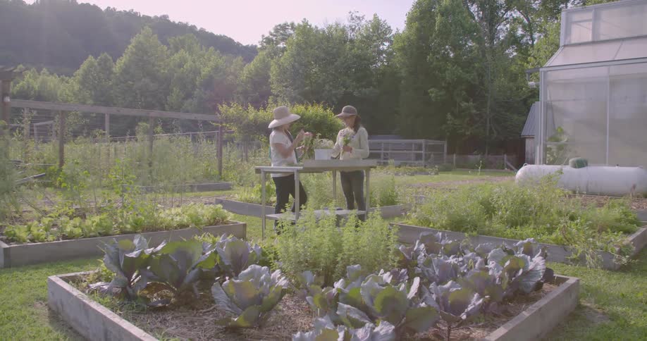 Two women are gardening during the day