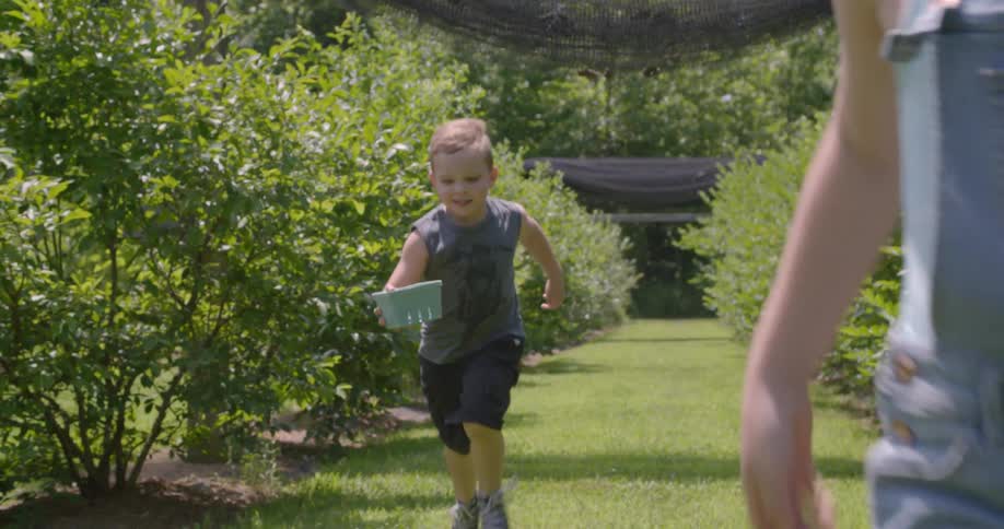 Children run through an orchard