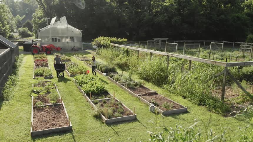 People work in a garden on a sunny day