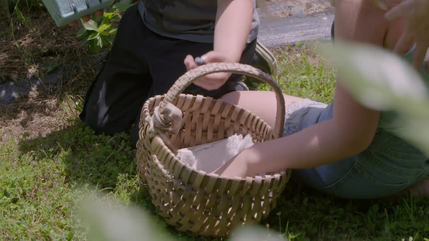 Kids are reaching into a basket and pulling something out