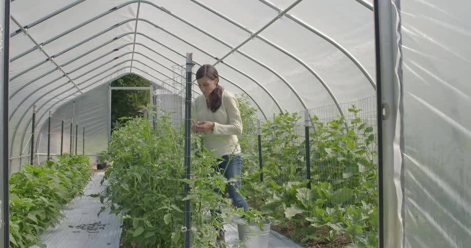 Woman tends to her plants in a greenhouse