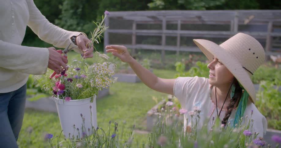 Women are cutting flowers in a garden during the day