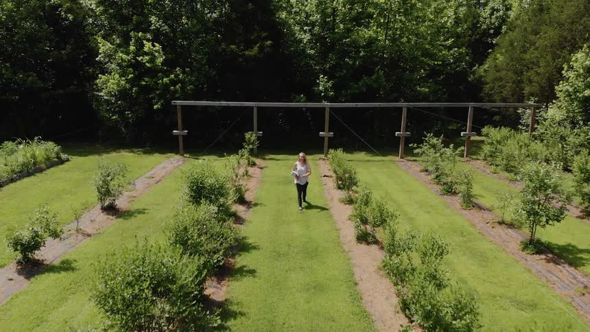 A woman and two children run through the yard together