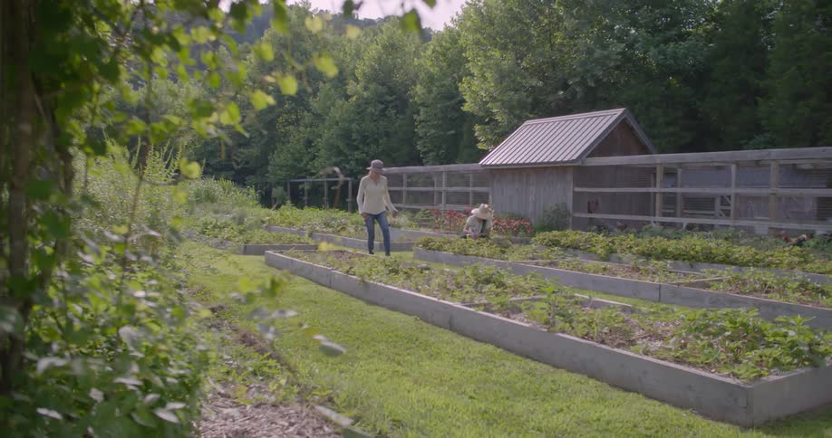 Two women tend to a garden