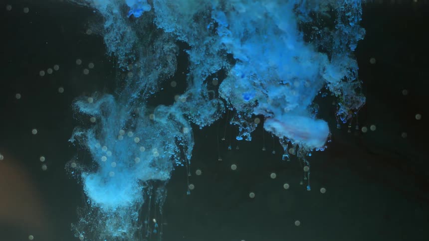 Oil is released into water
