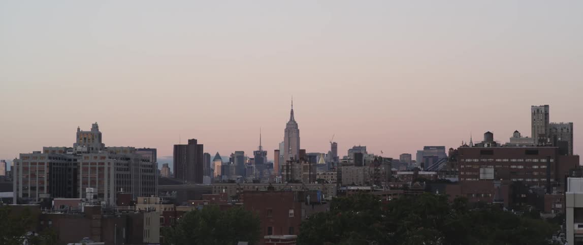 A city skyline sits past a line of trees