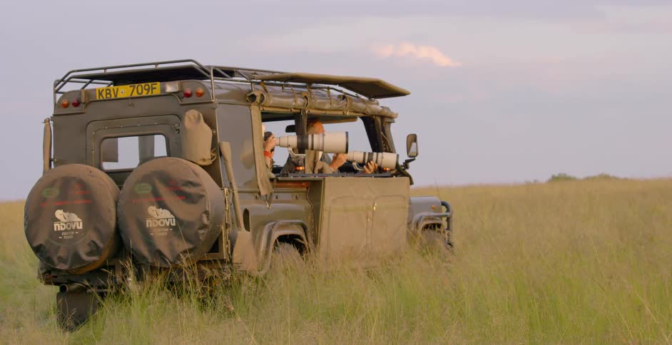 People taking pictures from a vehicle while on a safari on a cloudy day