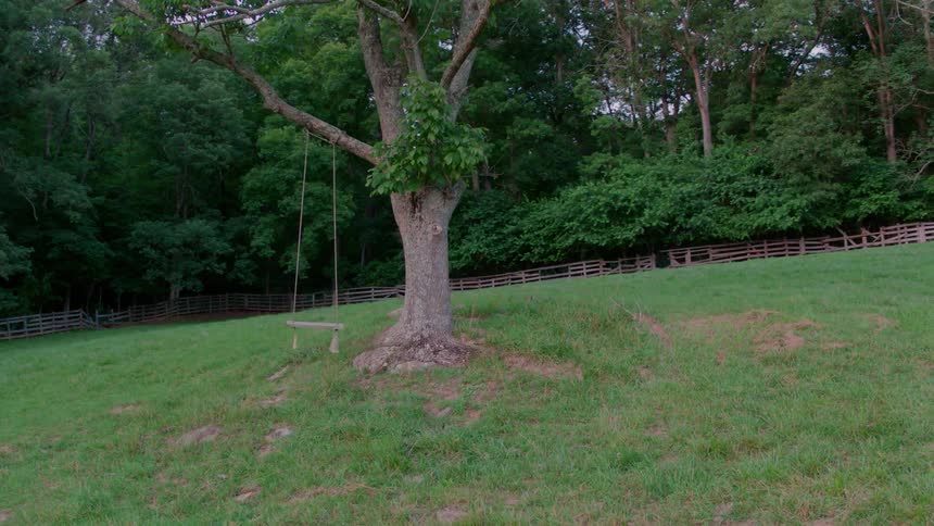 A empty swing attached to a tree on a hillside